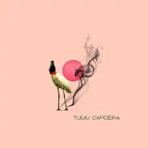 Tuiuiu Capoeira