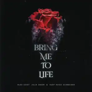 Bring Me To Life (Acoustic)