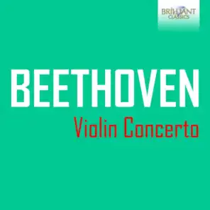 Violin Concerto in D Major, Op. 61: I. Allegro ma non troppo (5)