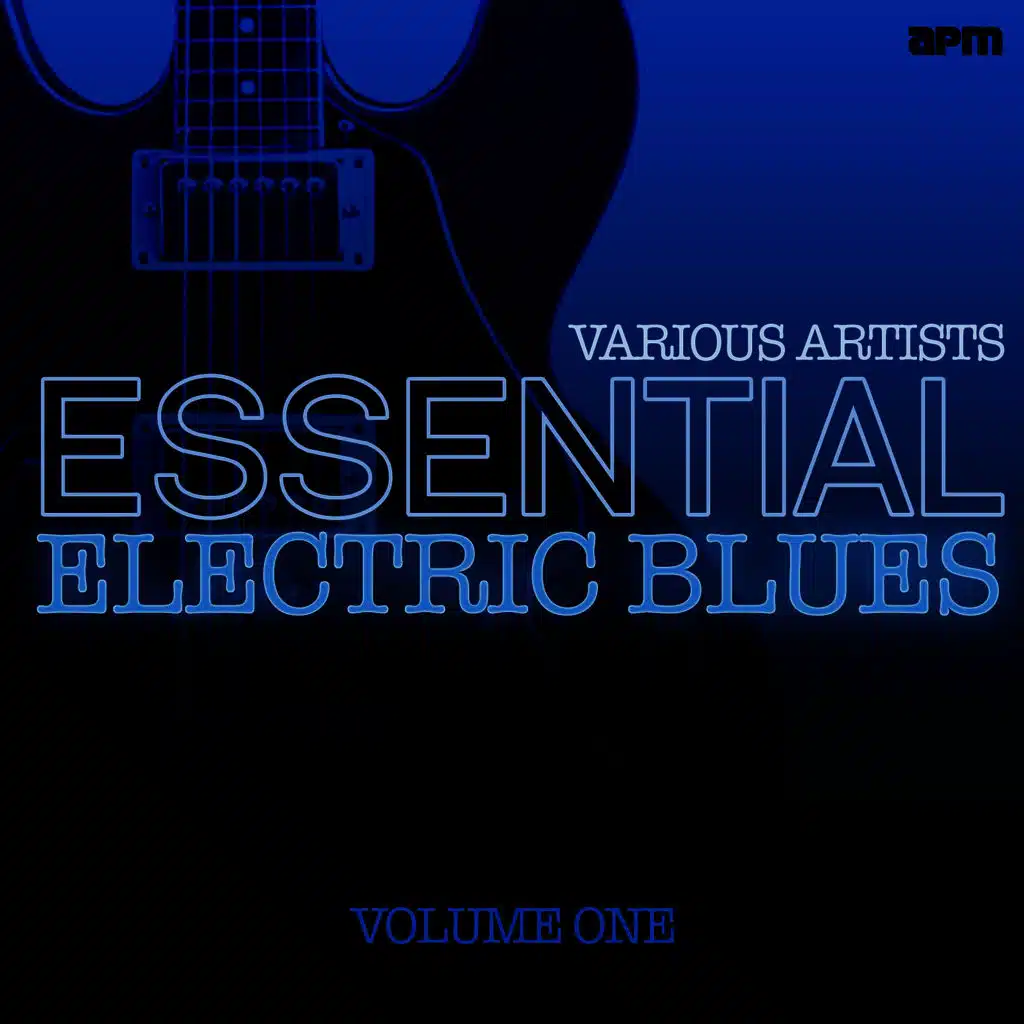 Essential Electric Blues Vol 1