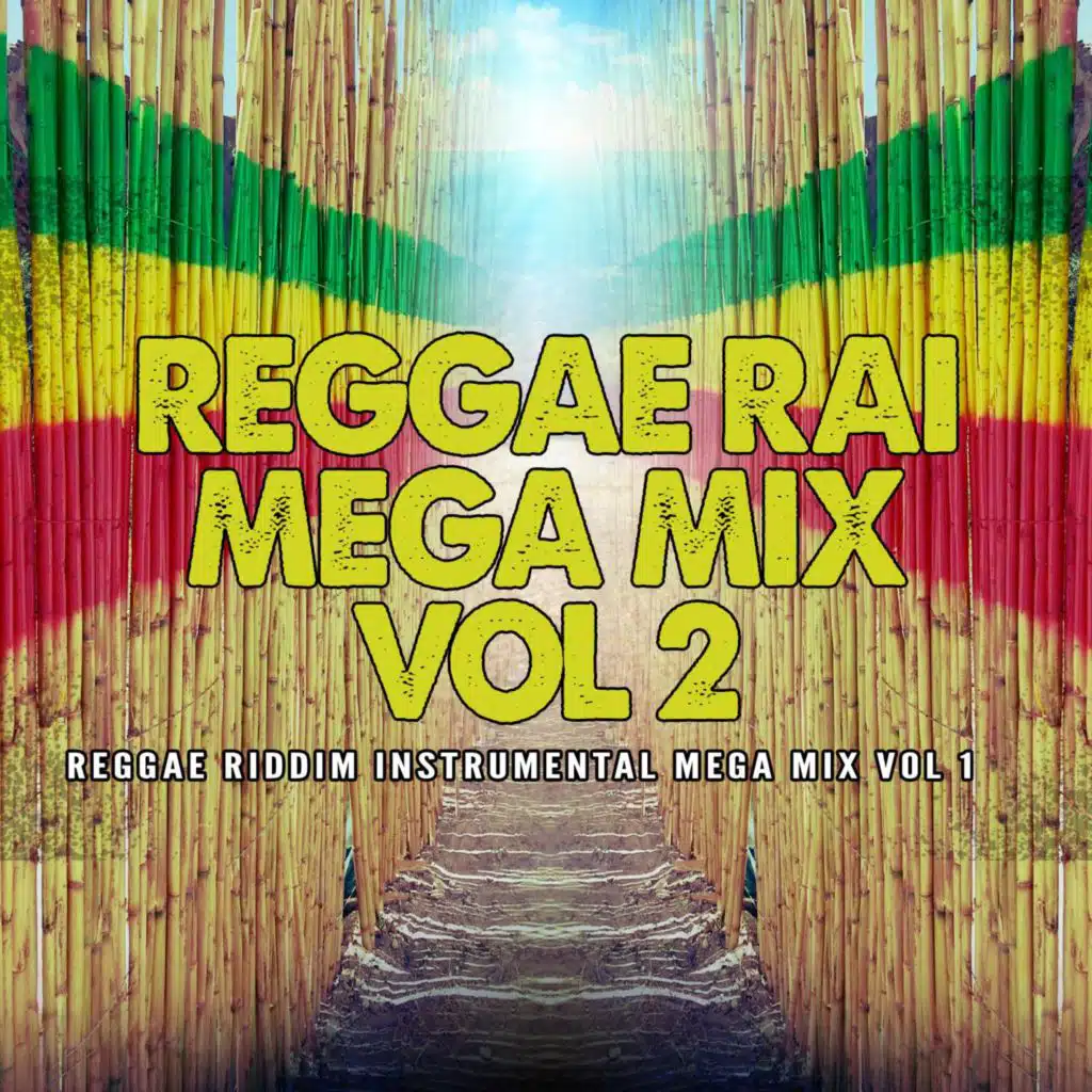 Reggae Rai Mega Mix, Vol. 2