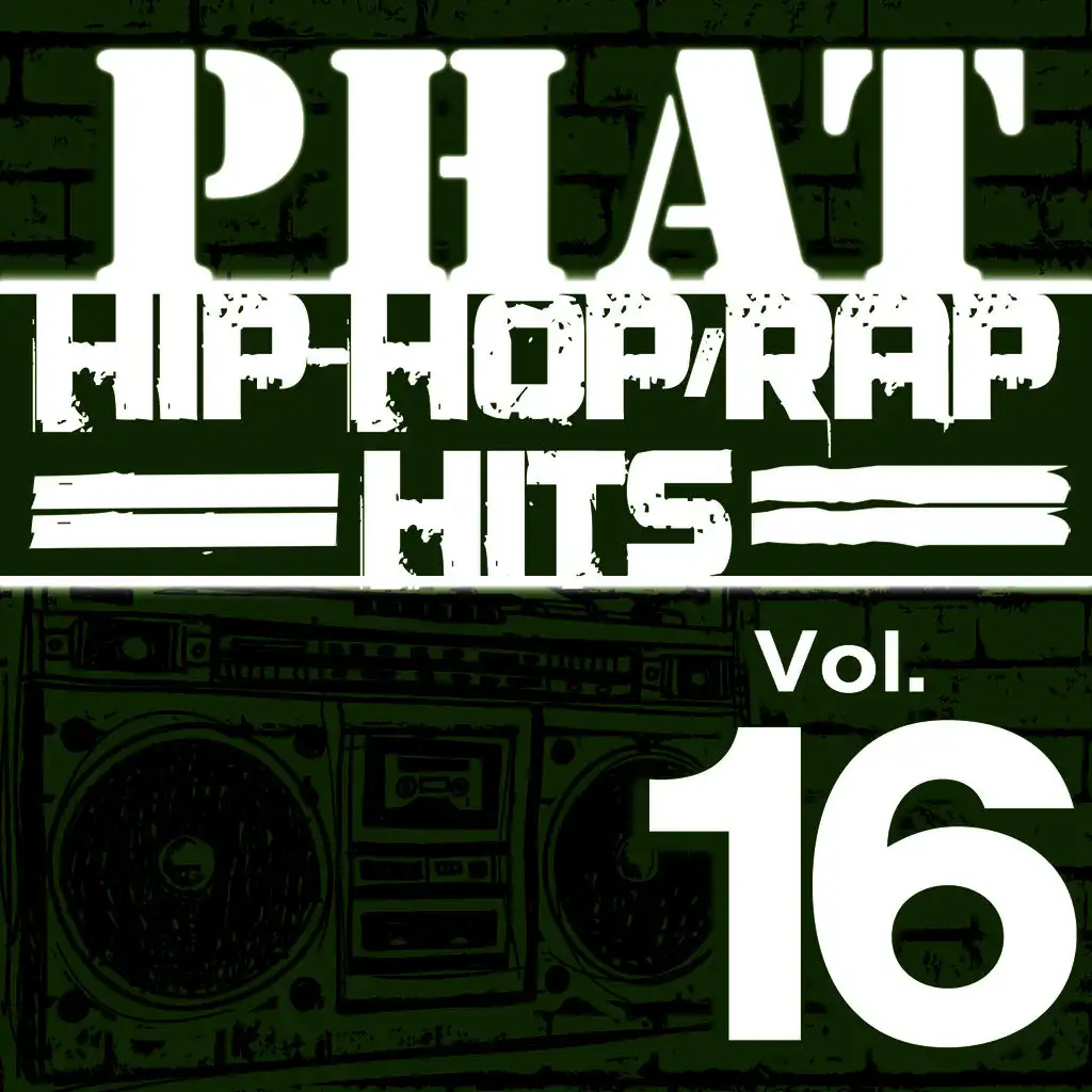 Phat Hip-Hop/Rap Hits, Vol. 16