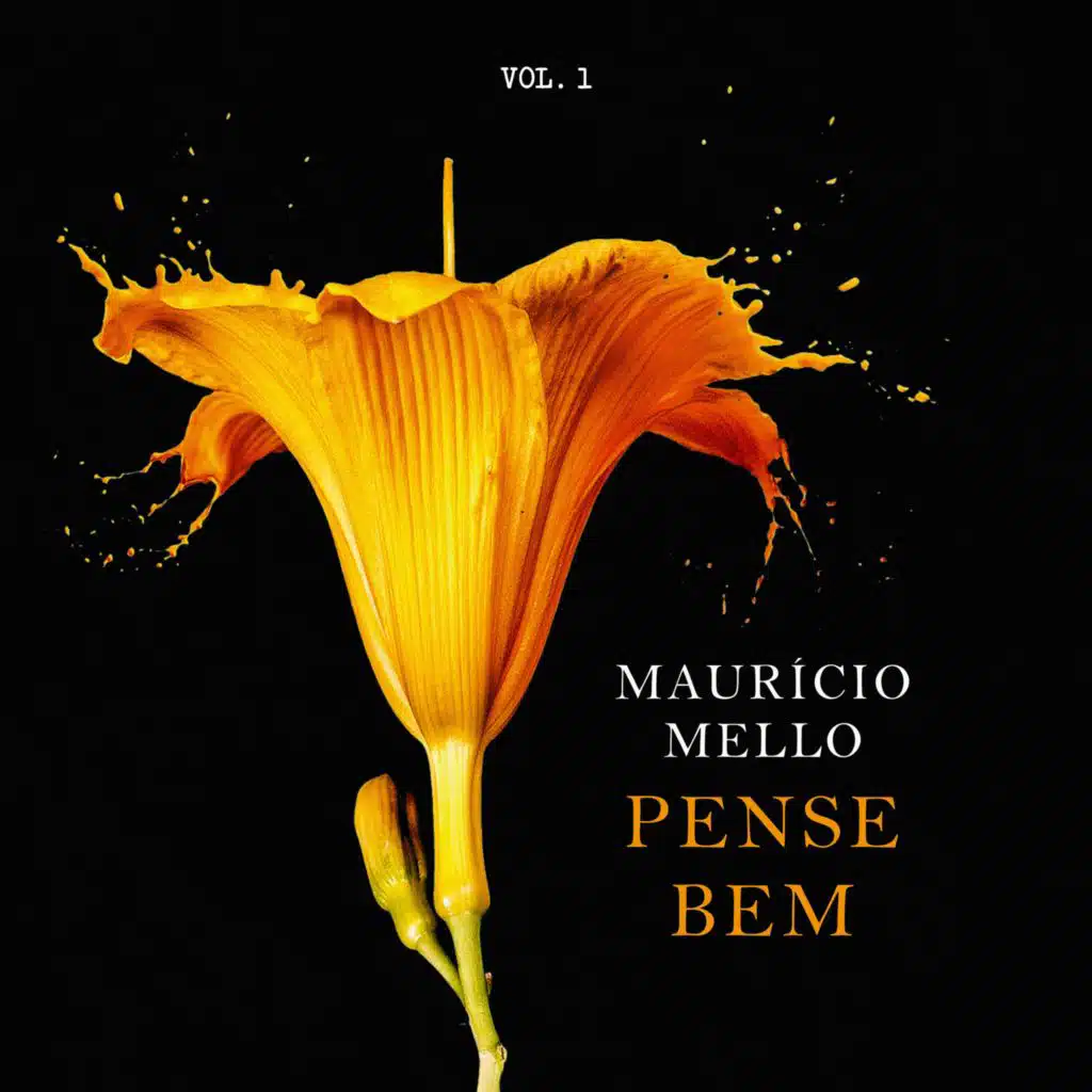 Pense Bem Vol.1