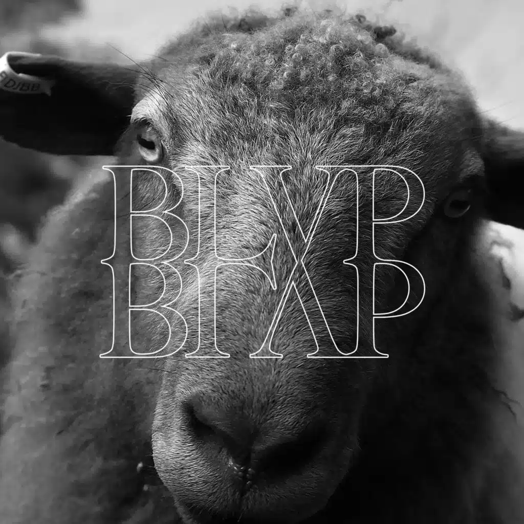 Blap Blap (feat. Heini Ikonen)