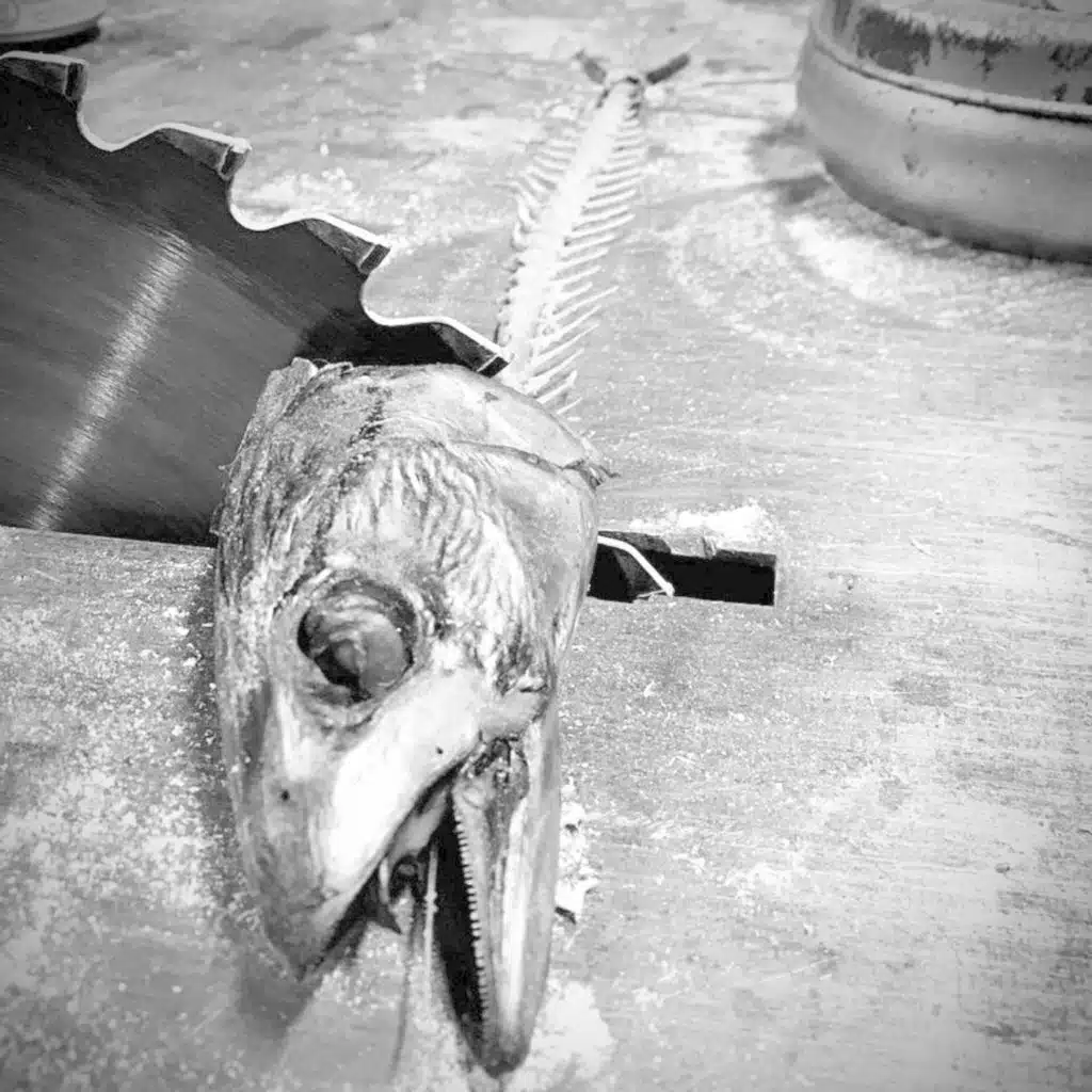Fishbone Melodies