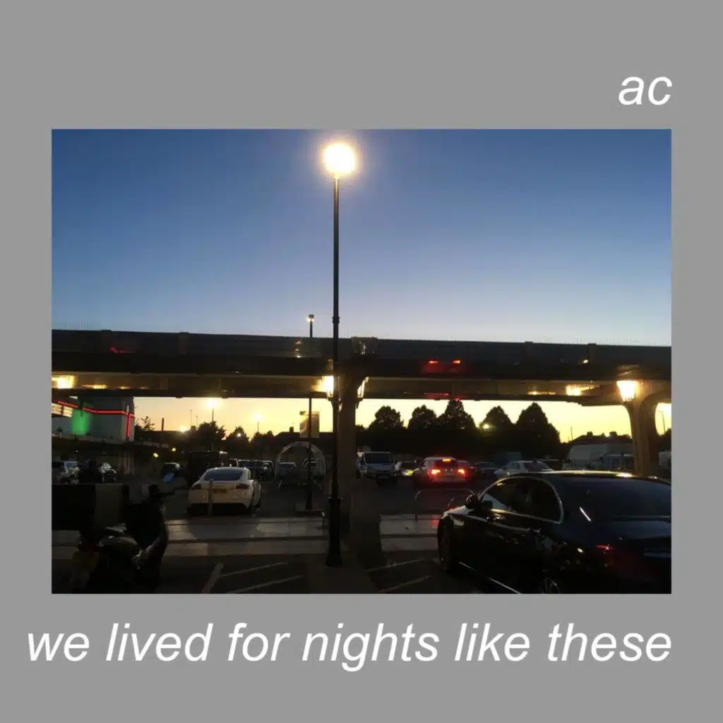 We Lived for Nights Like These