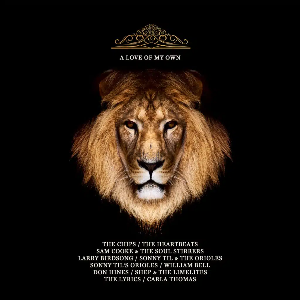 Touch the Hem of His Garment