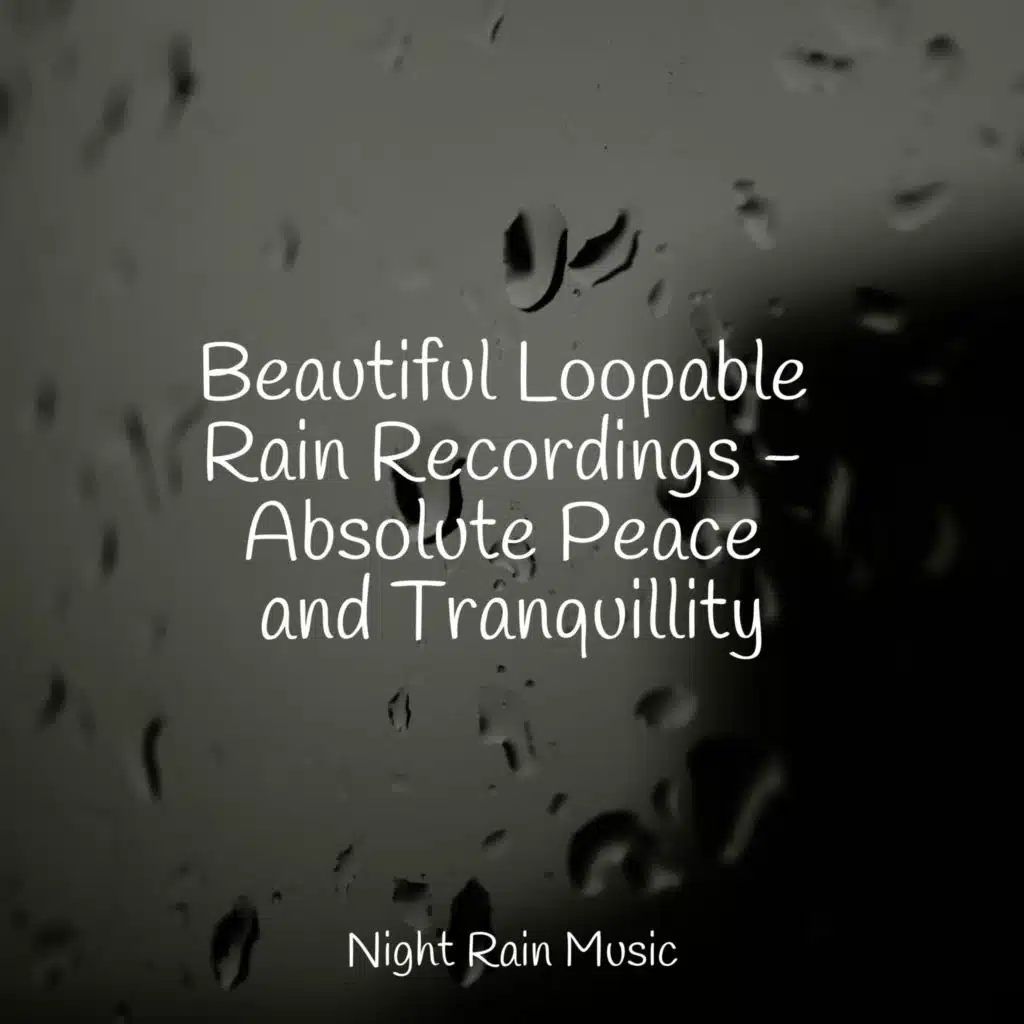 Beautiful Loopable Rain Recordings - Absolute Peace and Tranquillity