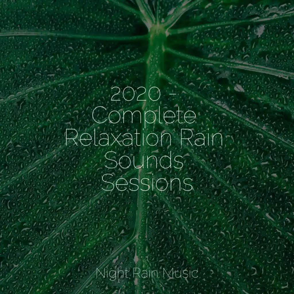 2020 Complete Relaxation Rain Sounds Sessions By Rainfall Rain Storm Sample Library And The
