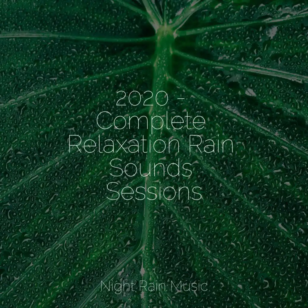 2020 Complete Relaxation Rain Sounds Sessions By Rainfall Rain Storm