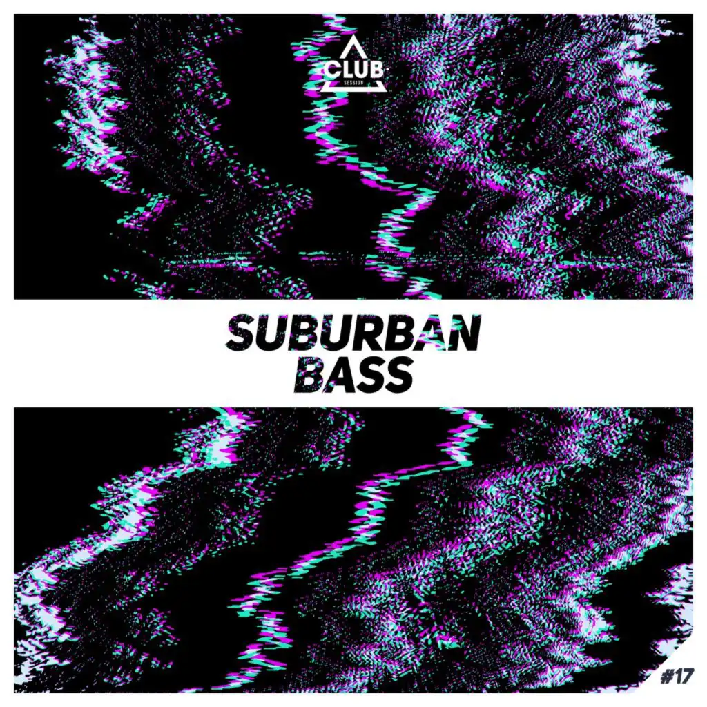 Suburban Bass, Vol. 17