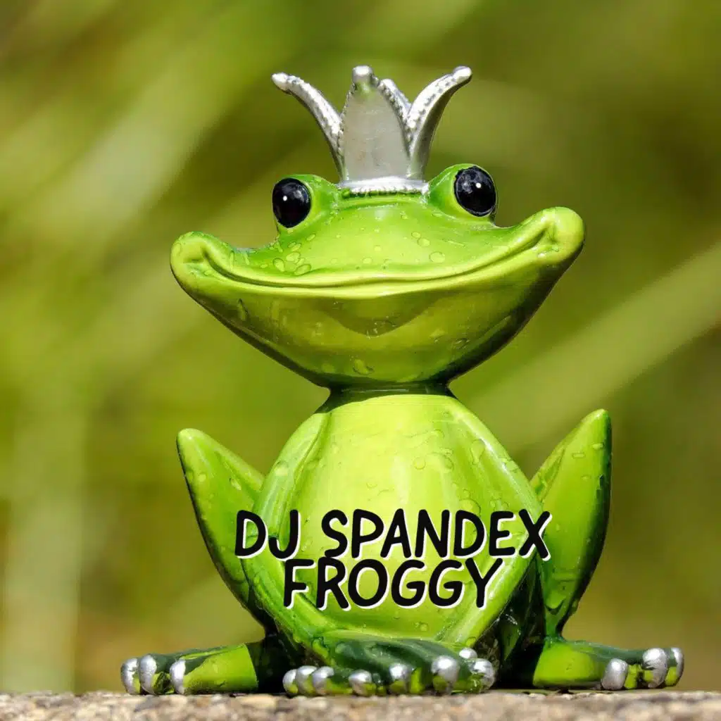 Froggy (Radio Edit)