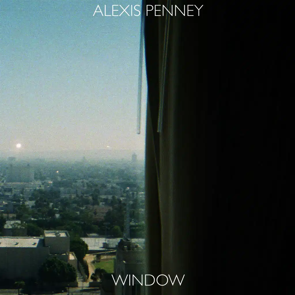 Window