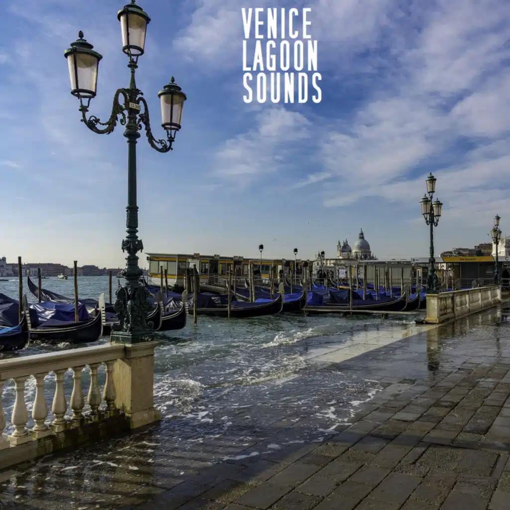 Venice Lagoon (Pt. 6) [feat. Bebo Baldan]