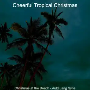 Christmas at the Beach - Auld Lang Syne