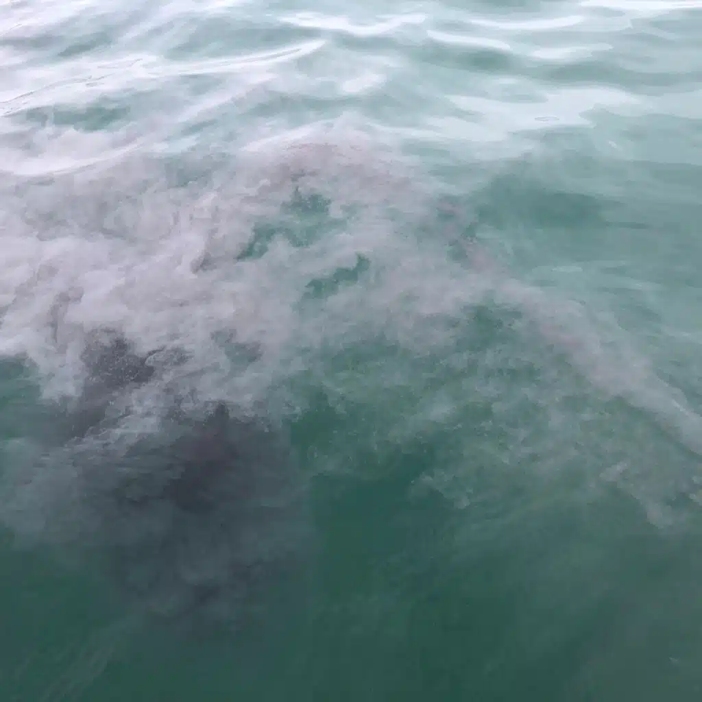 This Is Also the Place