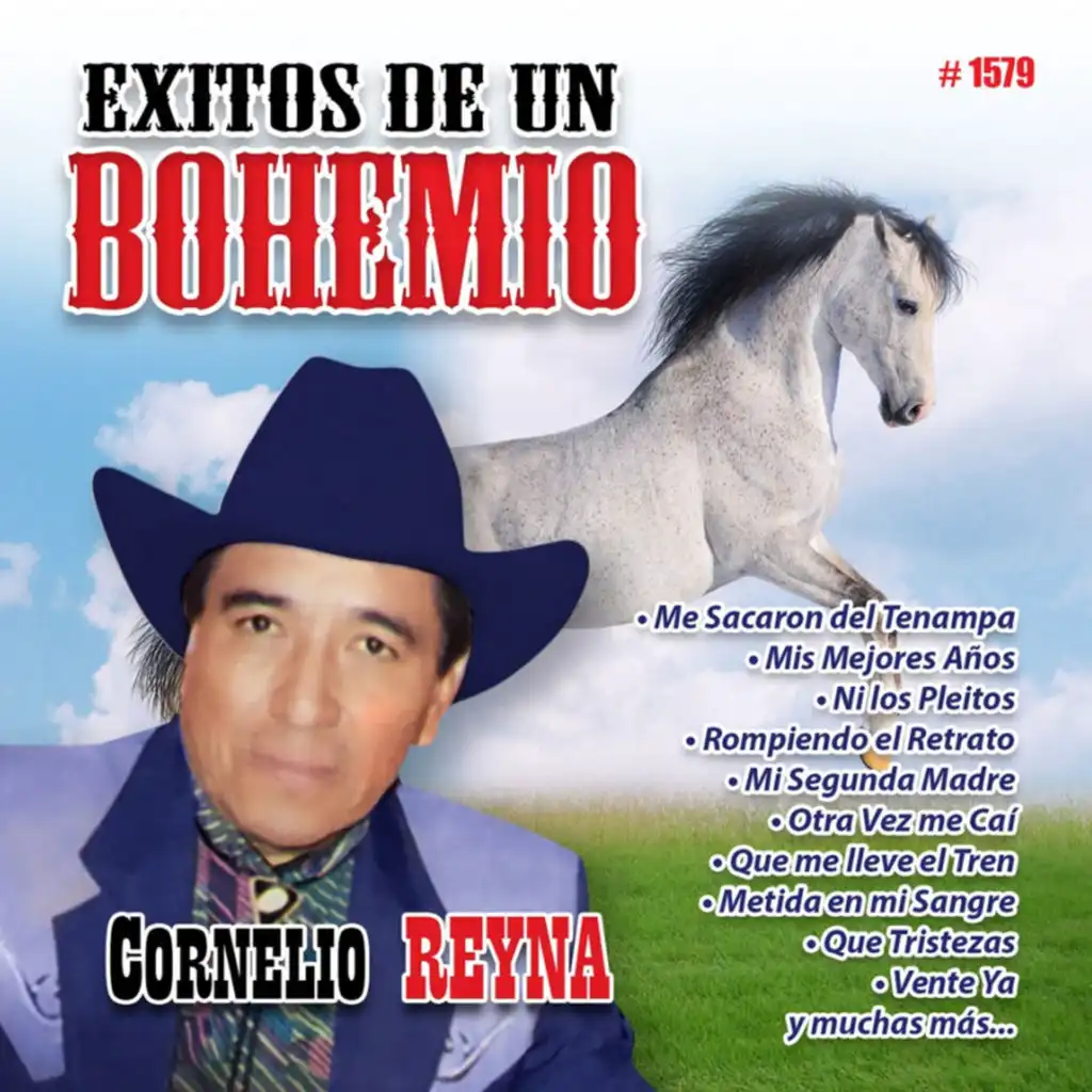 Exitos de un Bohemio