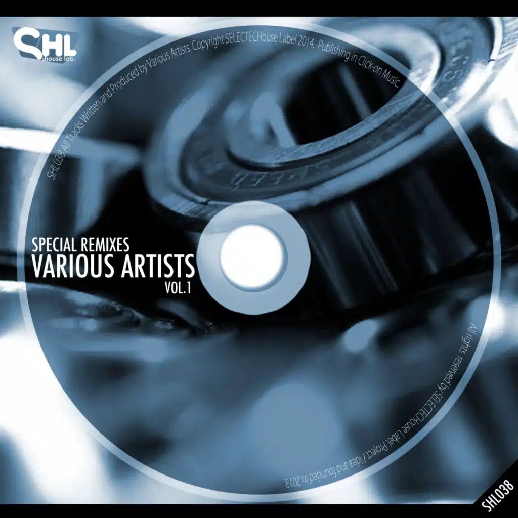 Special Remixes / Various Artists Vol.1