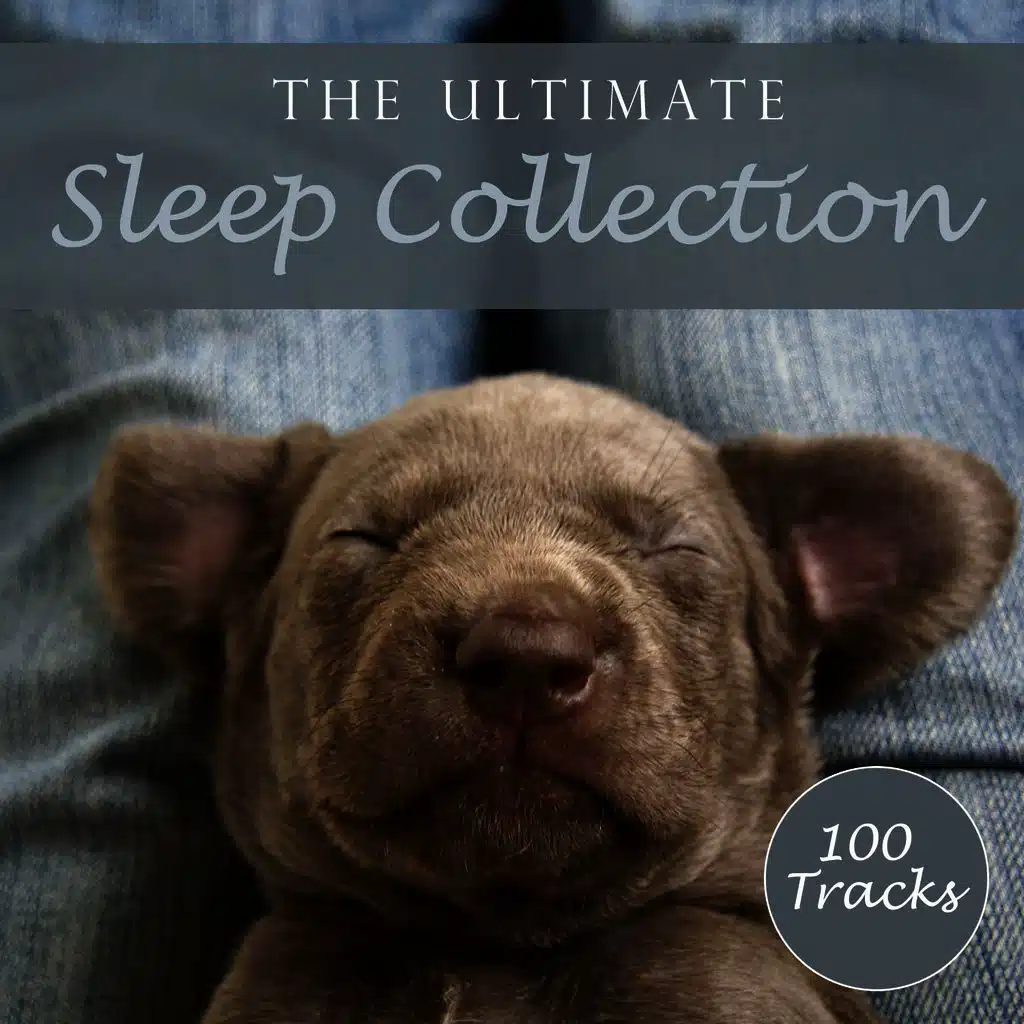 The Ultimate Sleep Collection