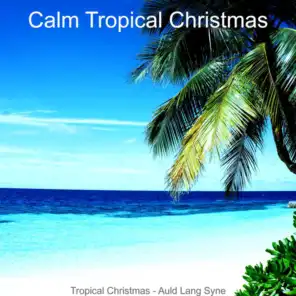Tropical Christmas - Auld Lang Syne
