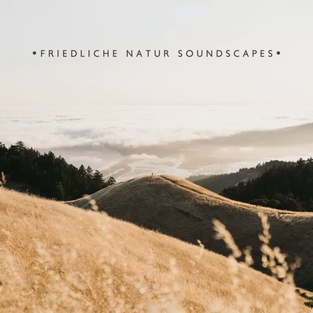 Friedliche Natur Soundscapes (Seien Sie ruhig und entspannen Sie sich)