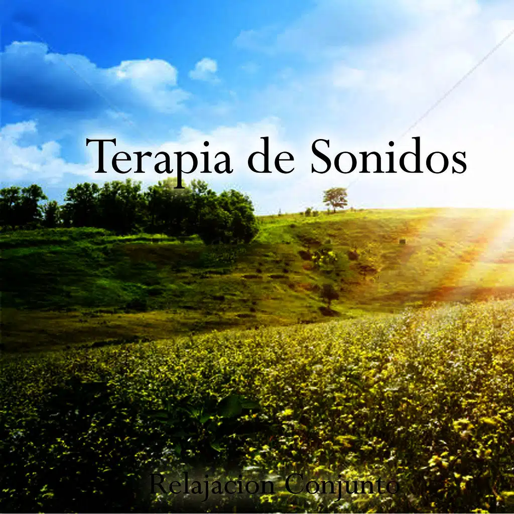 Therapy with Reiki Sounds