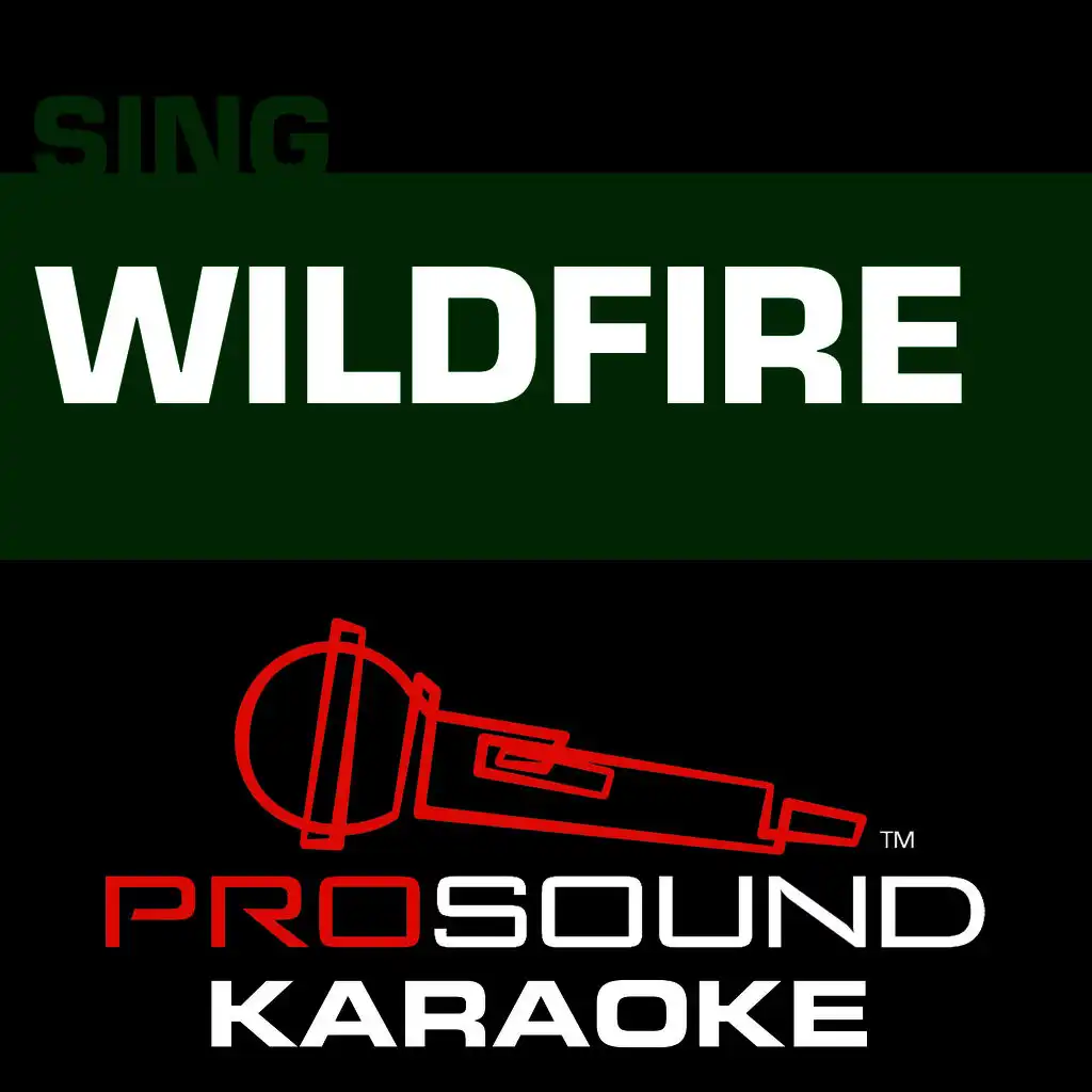 Wildfire (In the Style of John Mayer) [Karaoke Version]