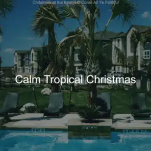 Calm Tropical Christmas