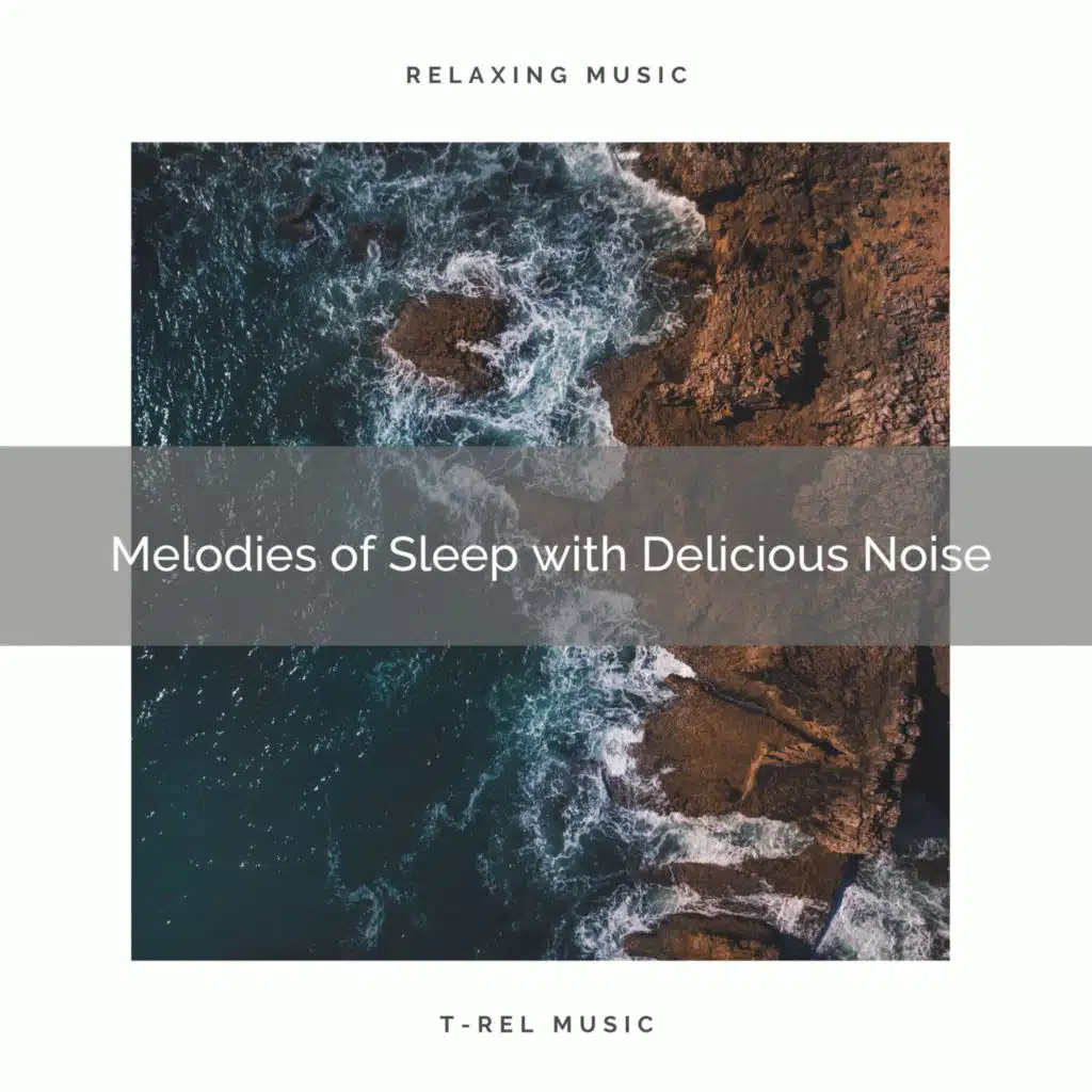 Melodies of Sleep with Delicious Noise