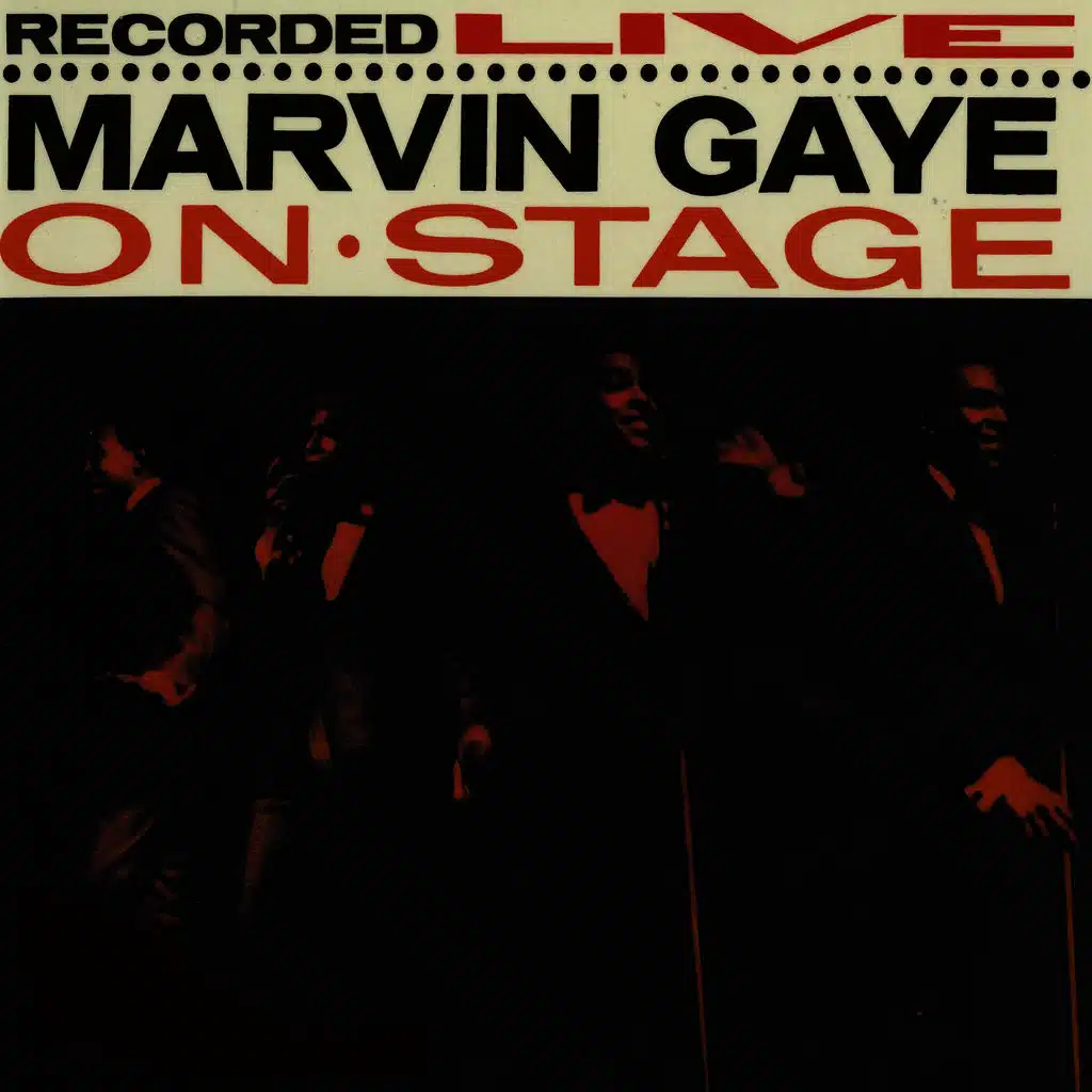 Stubborn Kind of Fellow