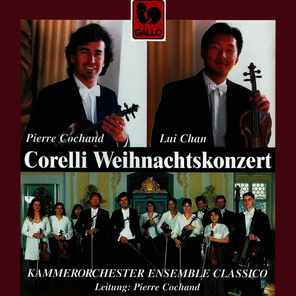 Concerto for Strings in A Major, RV 158 "Concerto ripieno": II. Andante molto