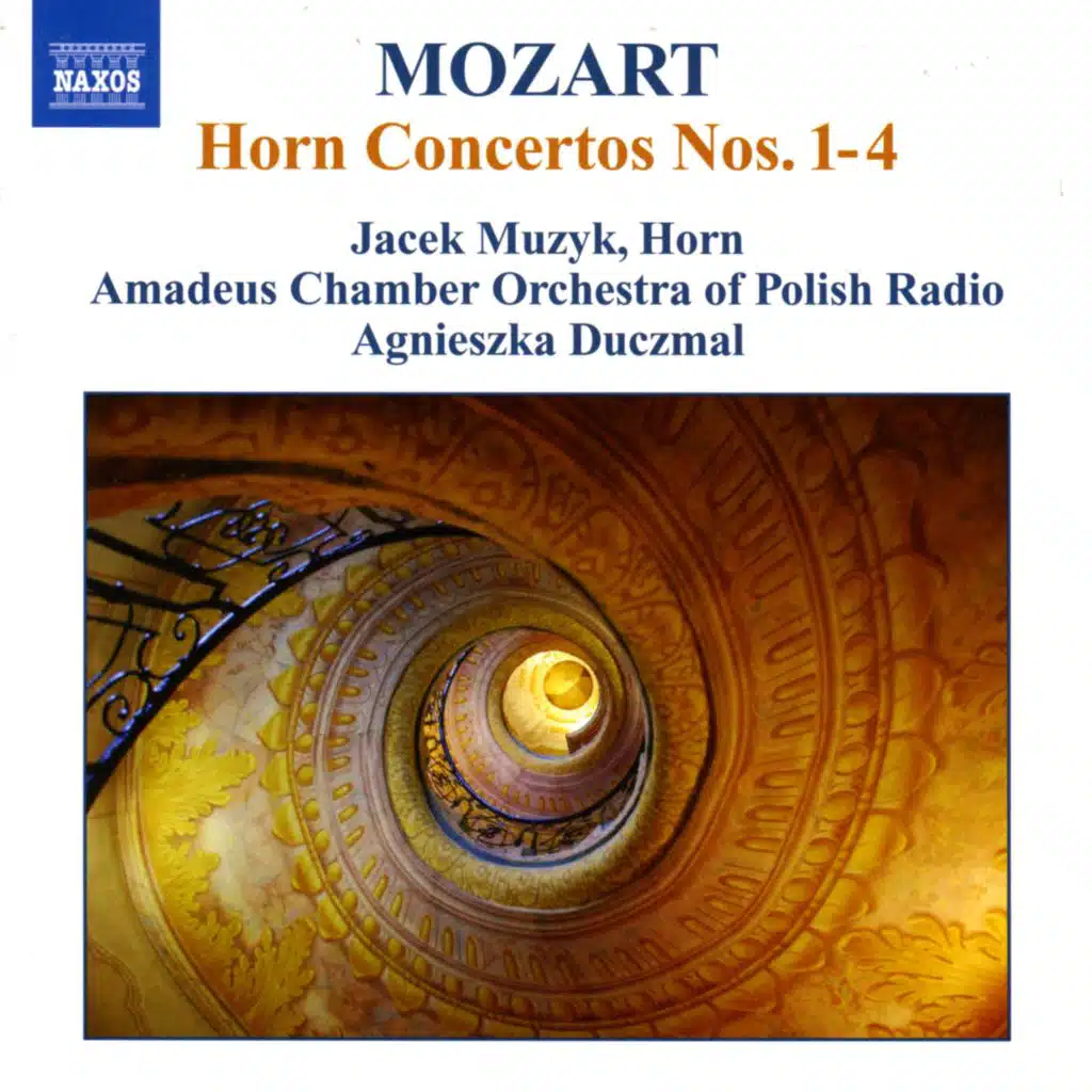 Horn Concerto No. 1 in D Major, K. 412: II. Rondo. Allegro