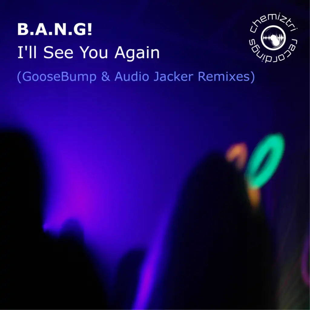 I'll See You Again (Audio Jacker Radio Edit)