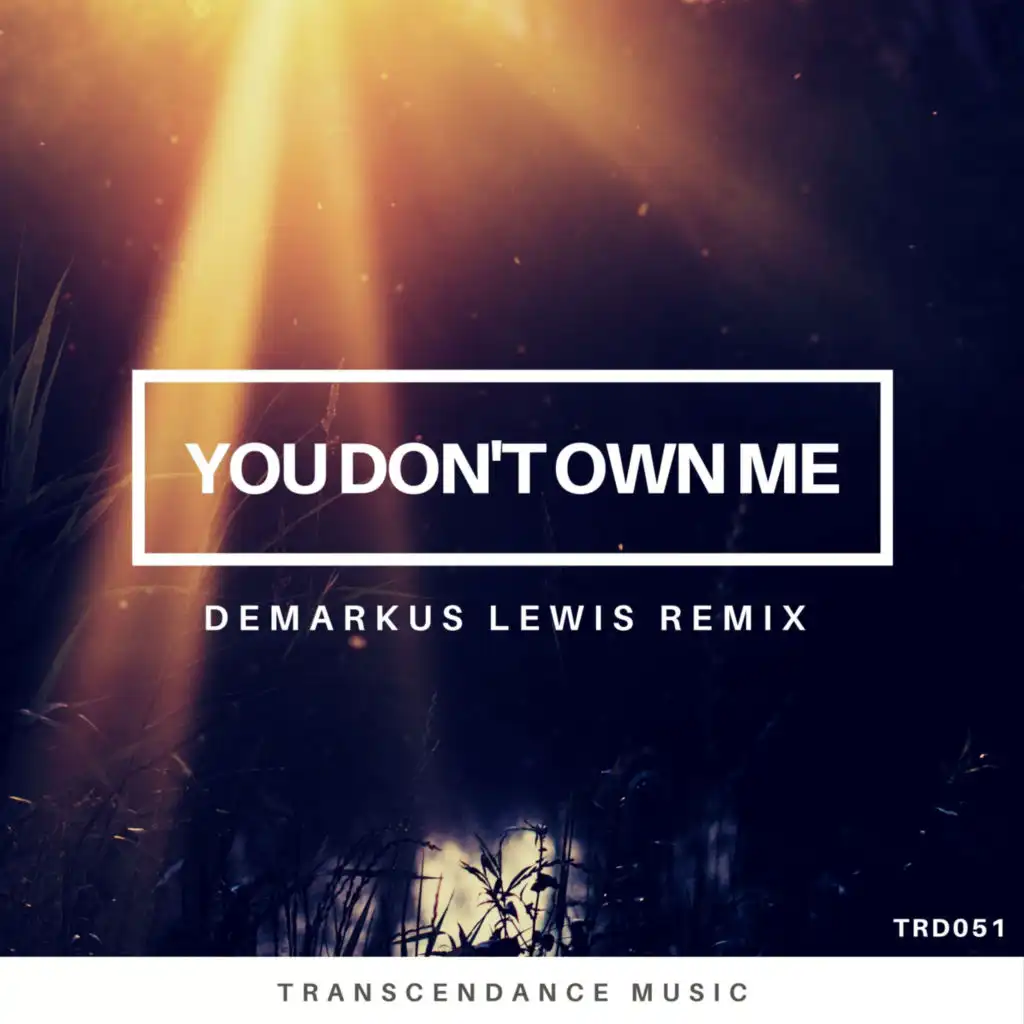 You Don't Own Me (Demarkus Lewis Radio Edit) [feat. Laureen (IT)]