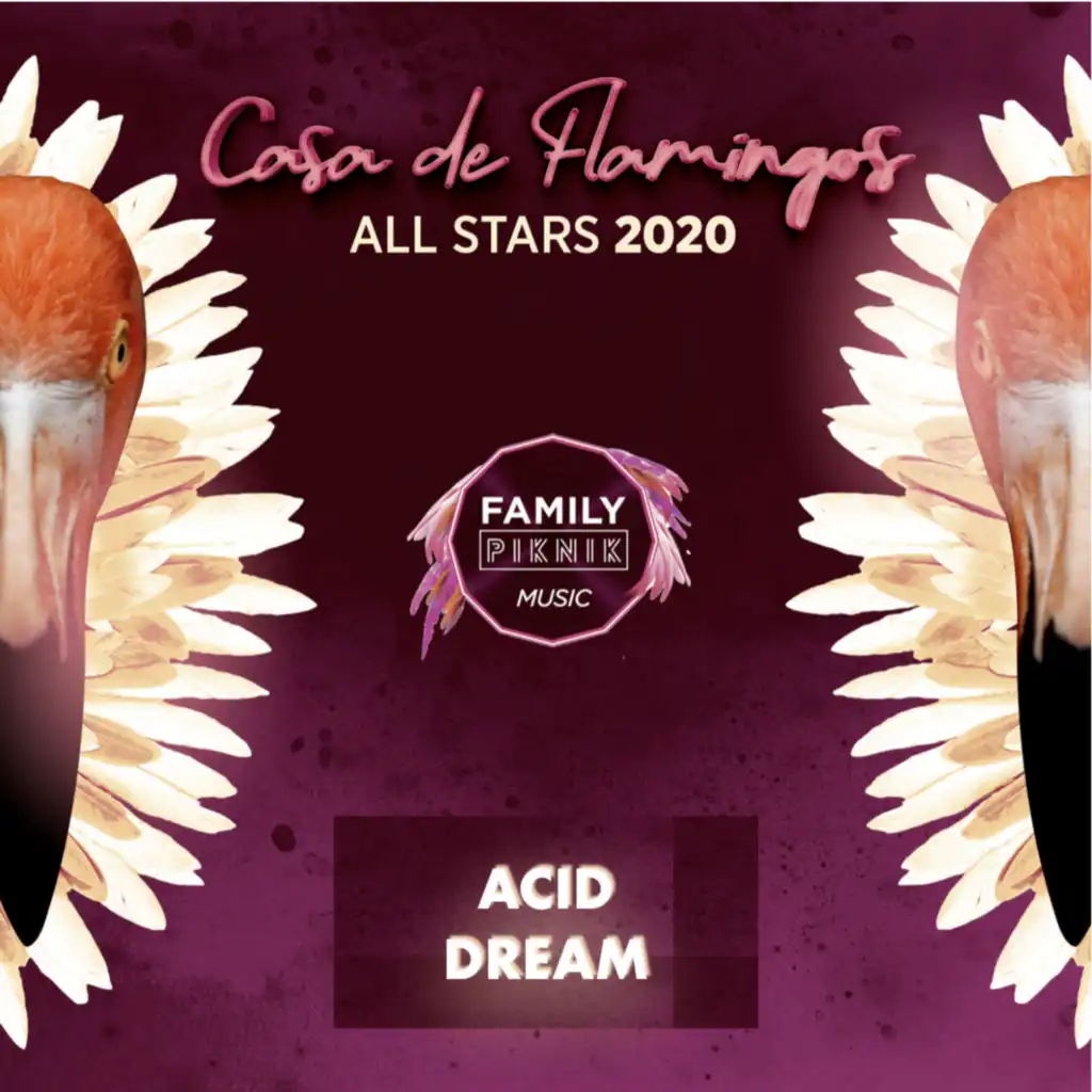 Acid Dream (Bonus Track)