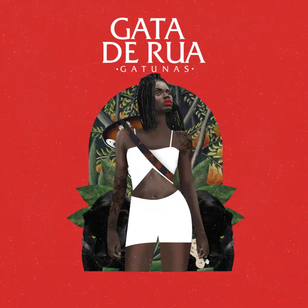 Gata de Rua