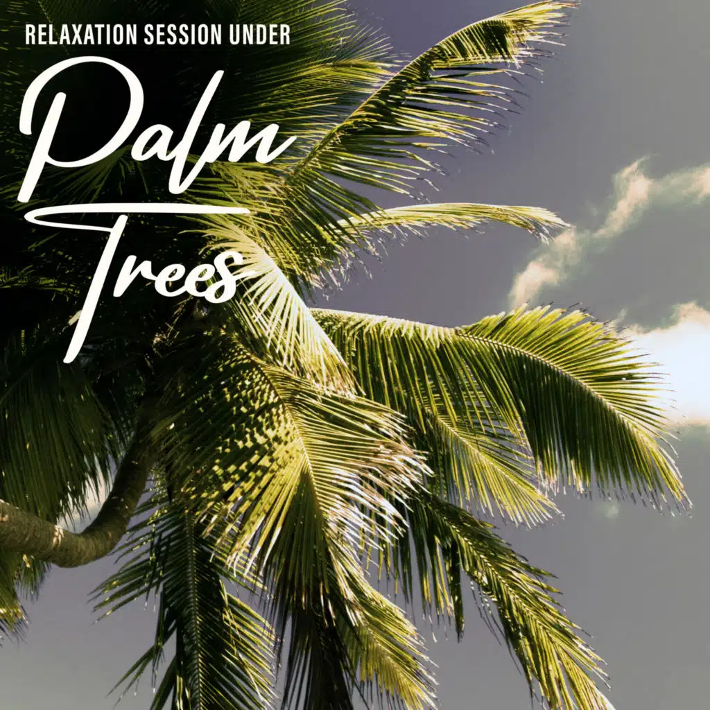 Relaxation Session under Palm Trees - Mix of Tropical Chillout Melodies That Will Take You to Exotic Holidays and Allow You to Completely De-Stress