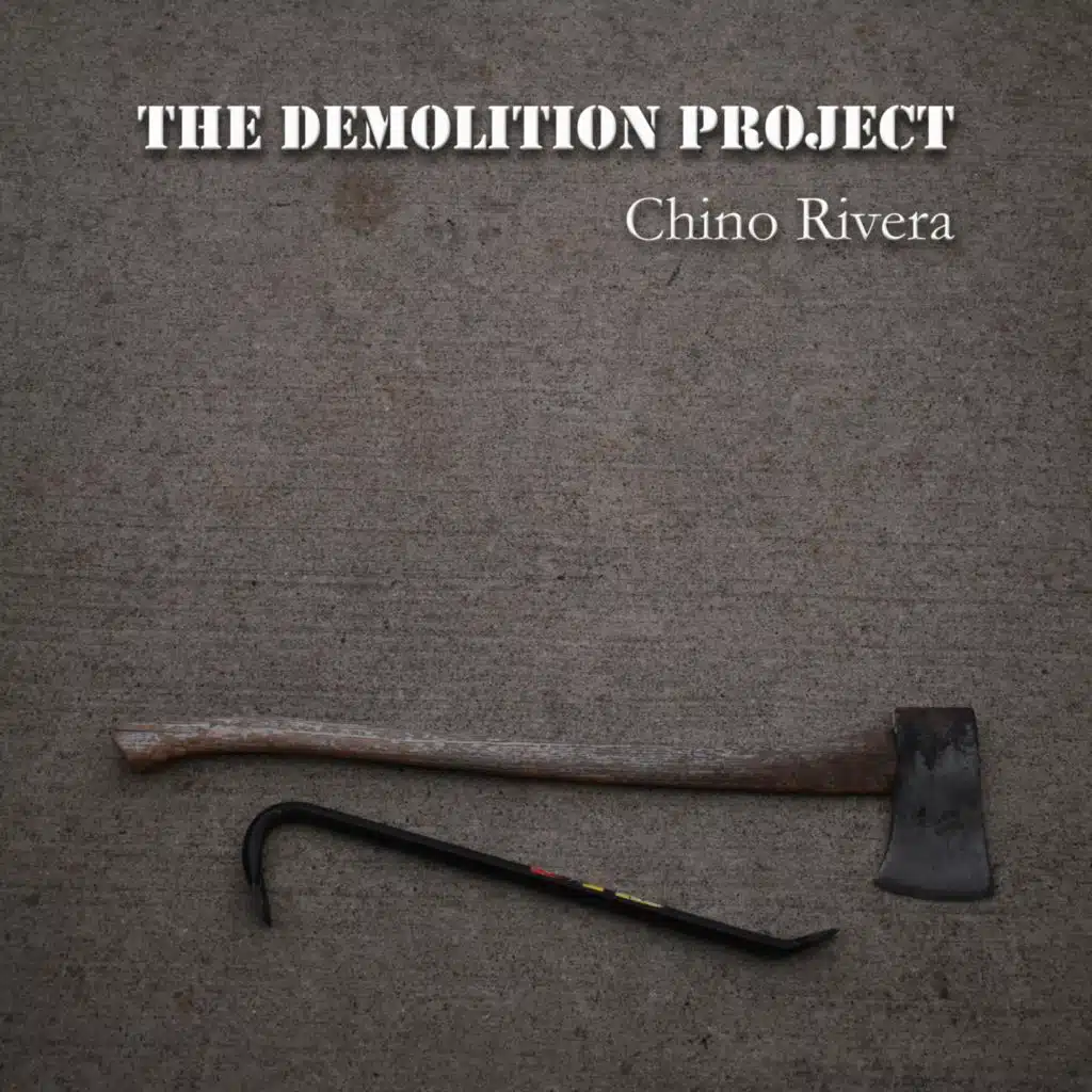 The Demolition Project