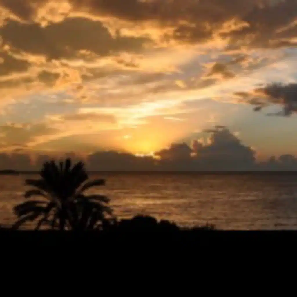 Un grand éclair (D. Rimaud/W. Sarrouh)