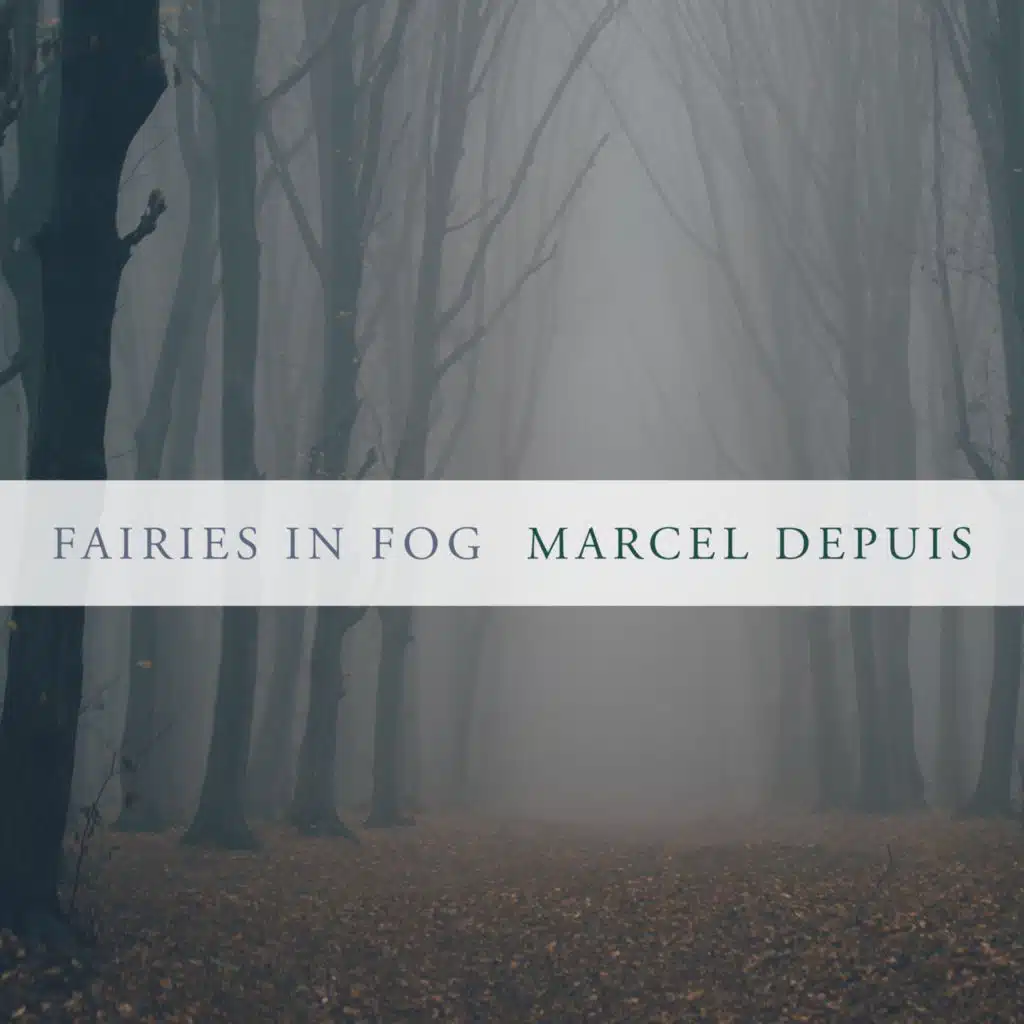 Fairies In Fog