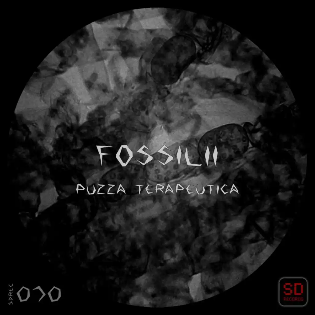 Fossilii