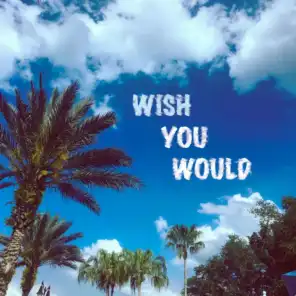 Wish You Would