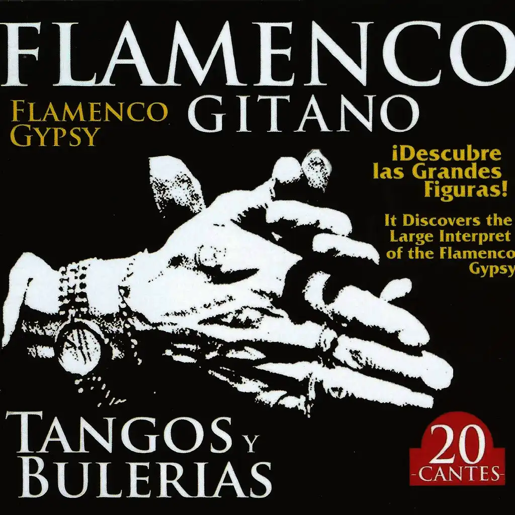 Flamenco Gitano - Tangos y Bulerías Vol. 3