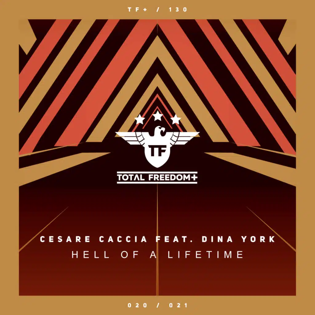 Hell Of A Lifetime (Radio Edit)