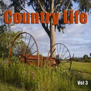 Country Life Vol 3