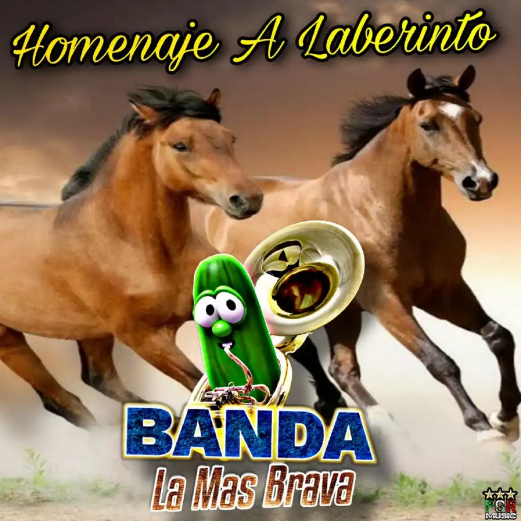 Caballos Del Pantanal