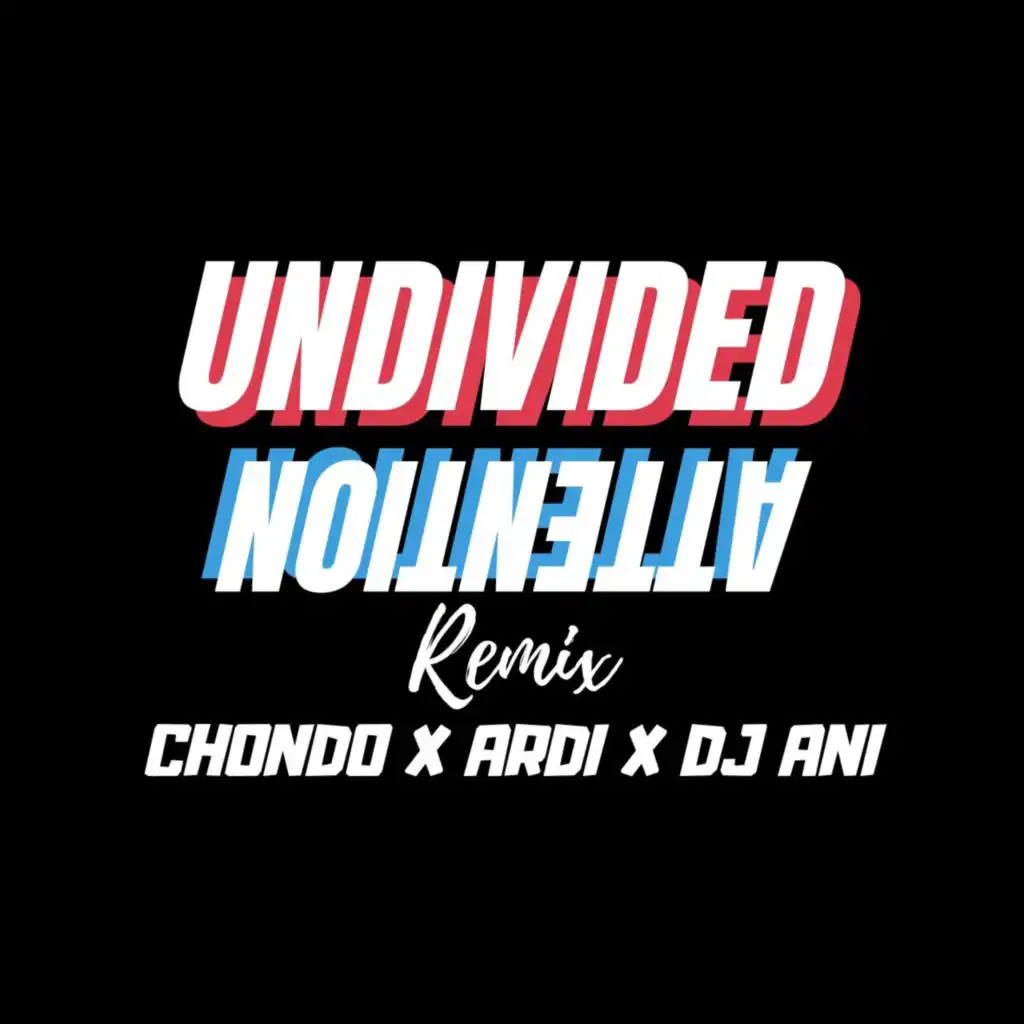 Undivided Attention (feat. Ardi & DJ Ani) (Remix)