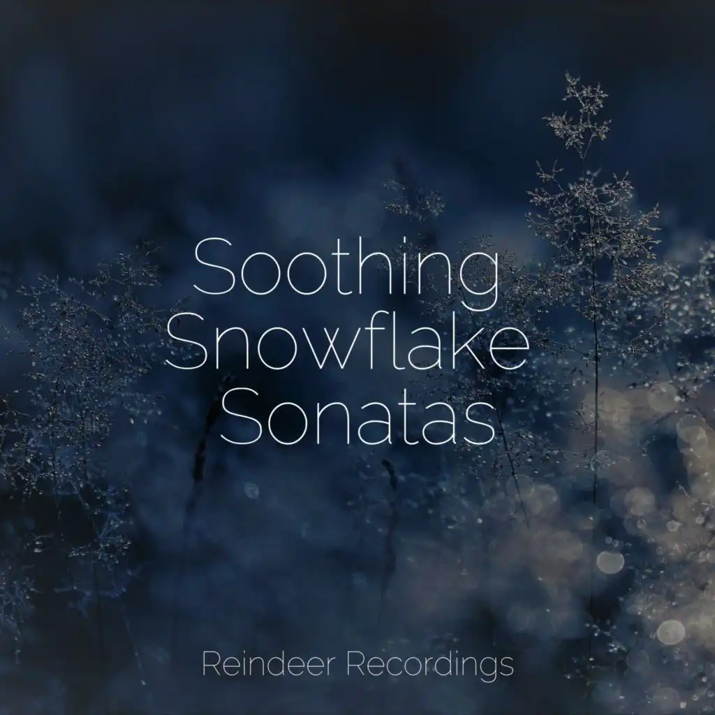 Soothing Snowflake Sonatas