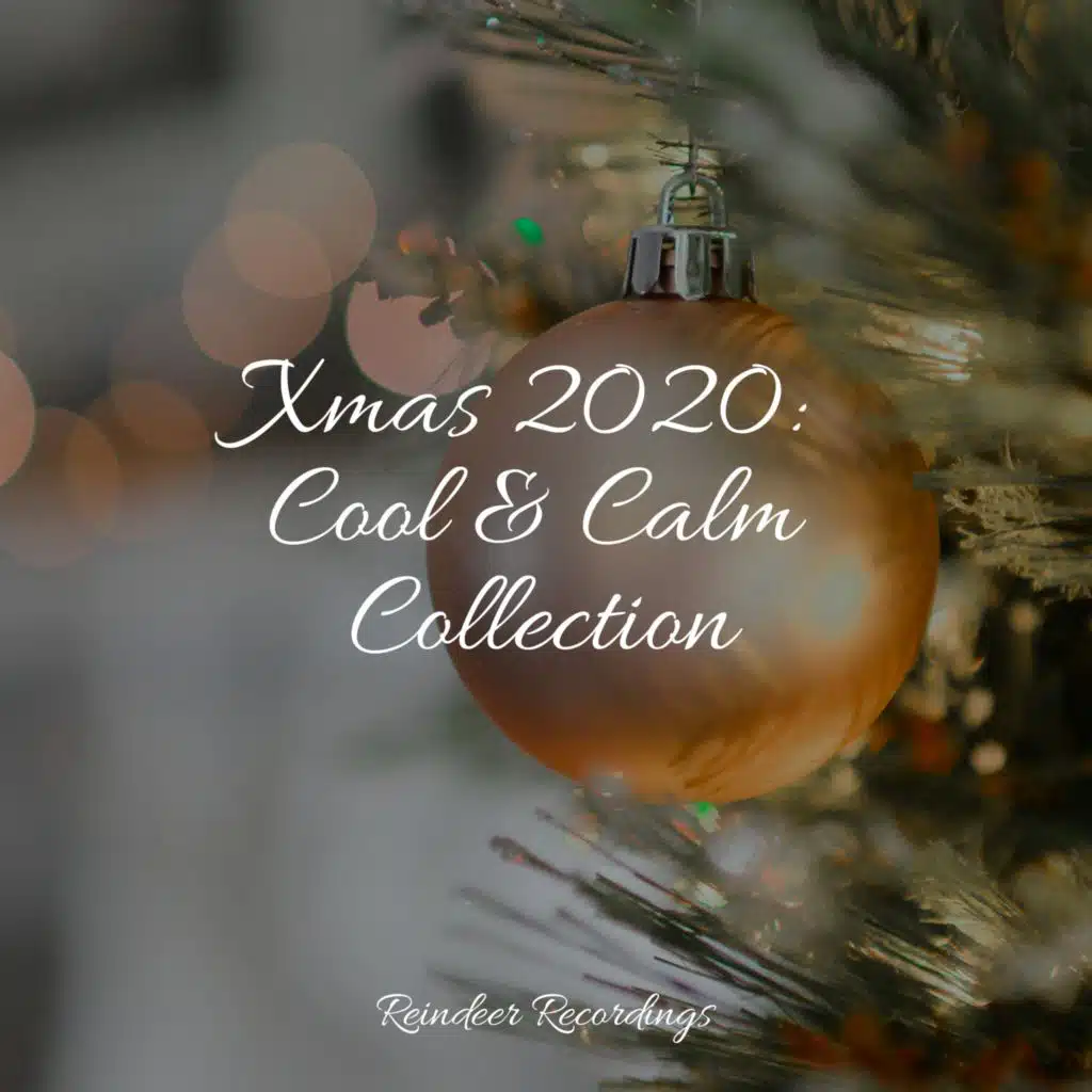 Xmas 2020: Cool & Calm Collection