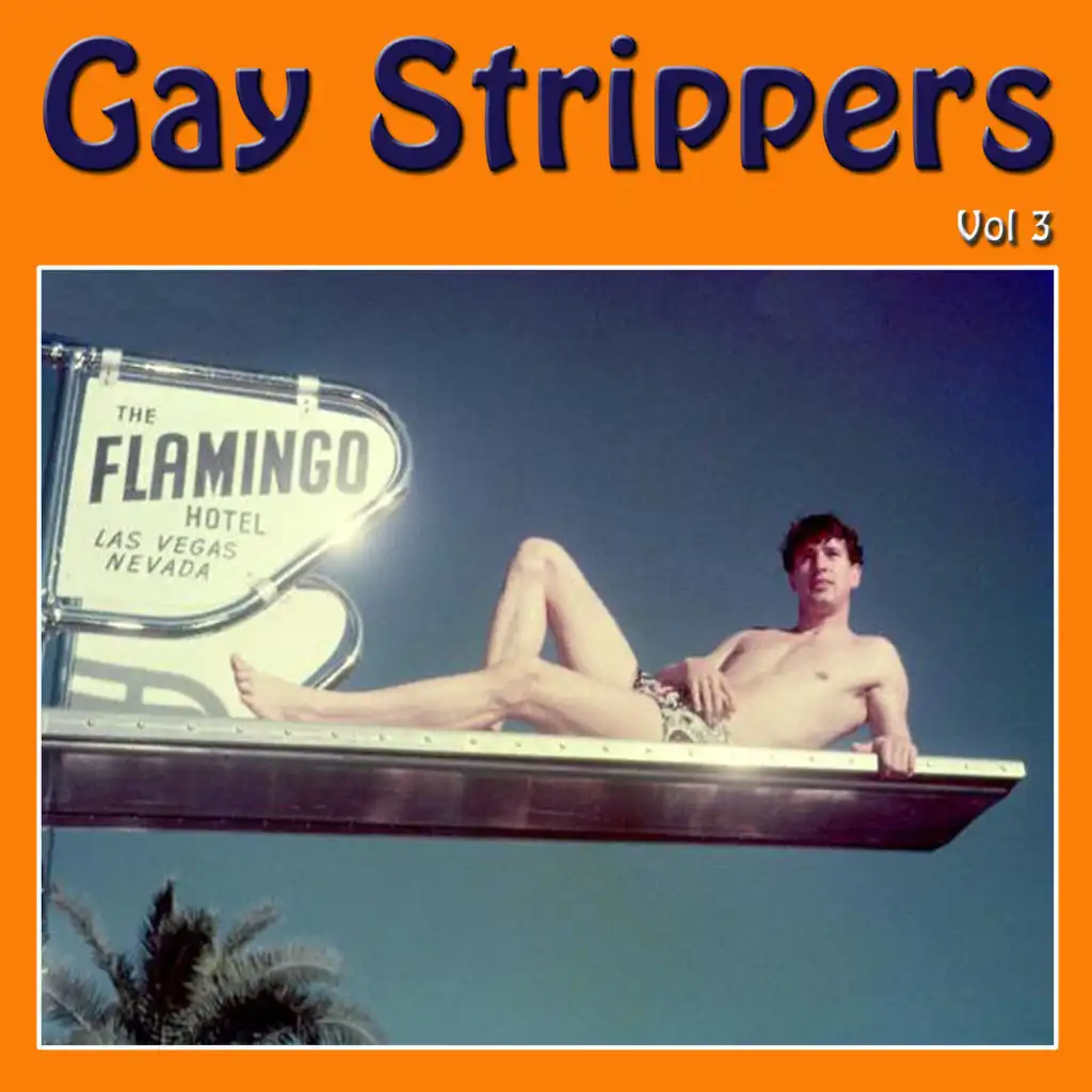 Gay Strippers Vol 3